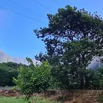 Ferienhaus Mountain View *