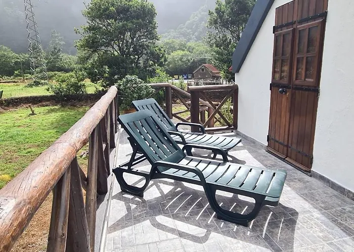 Mountain View * セイシャル