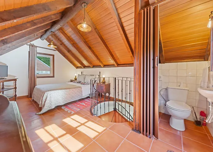 Mountain View セイシャル