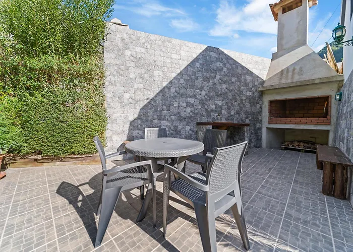 Mountain View セイシャル