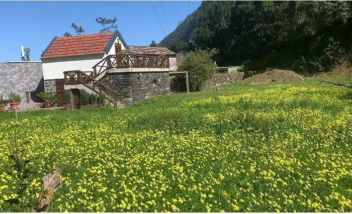 Mountain View 別荘 *