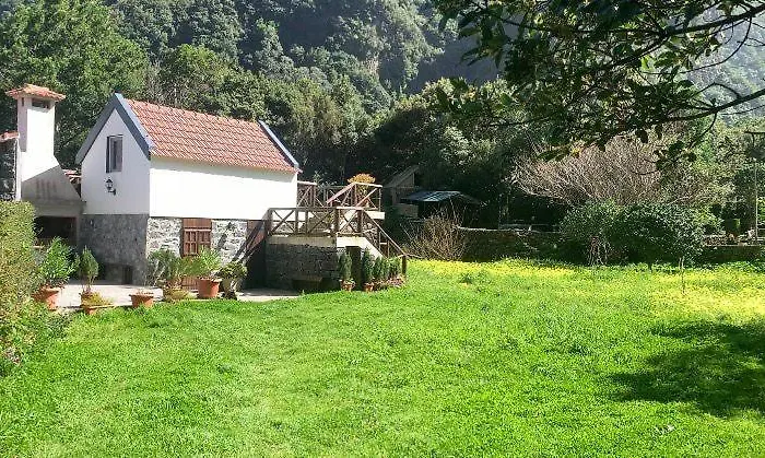 Mountain View セイシャル